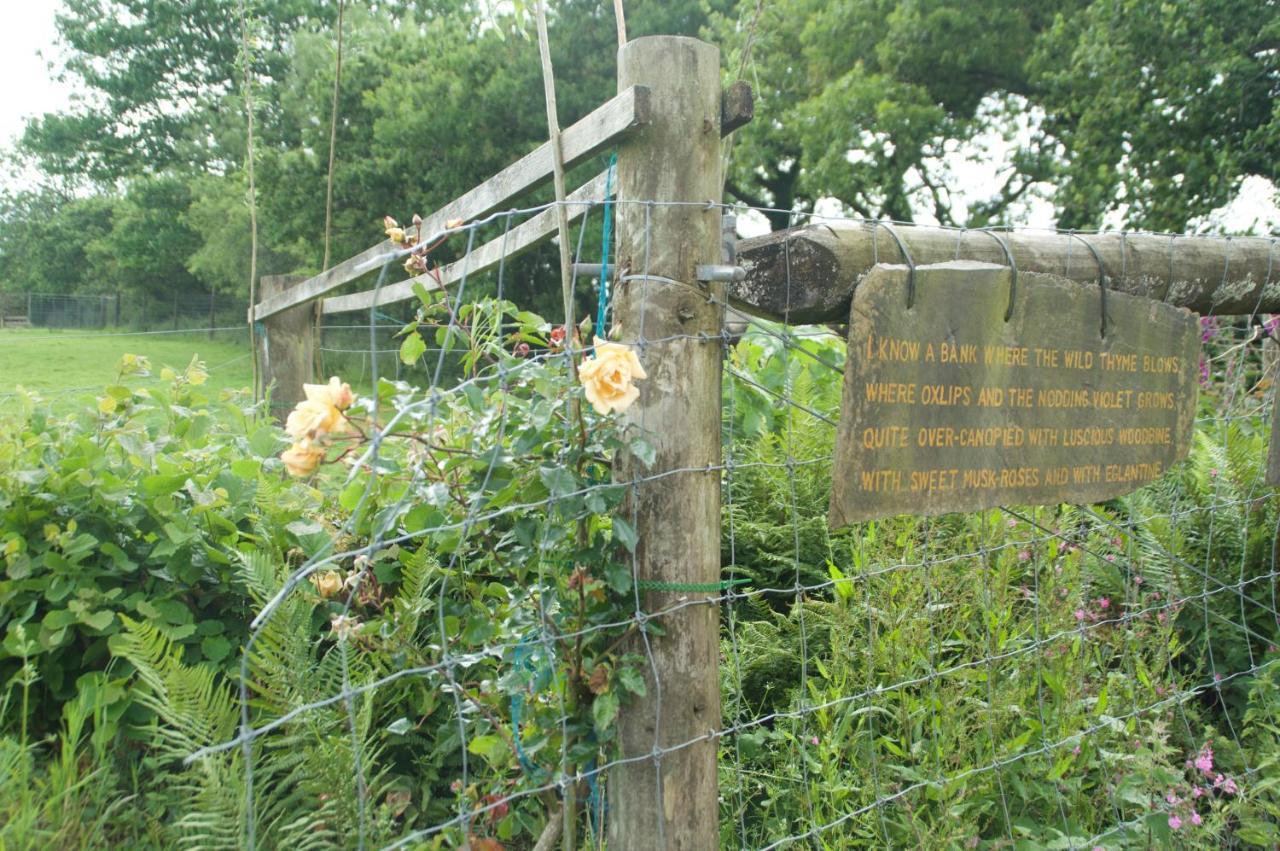 보드민 The Old Deer House B&B 외부 사진